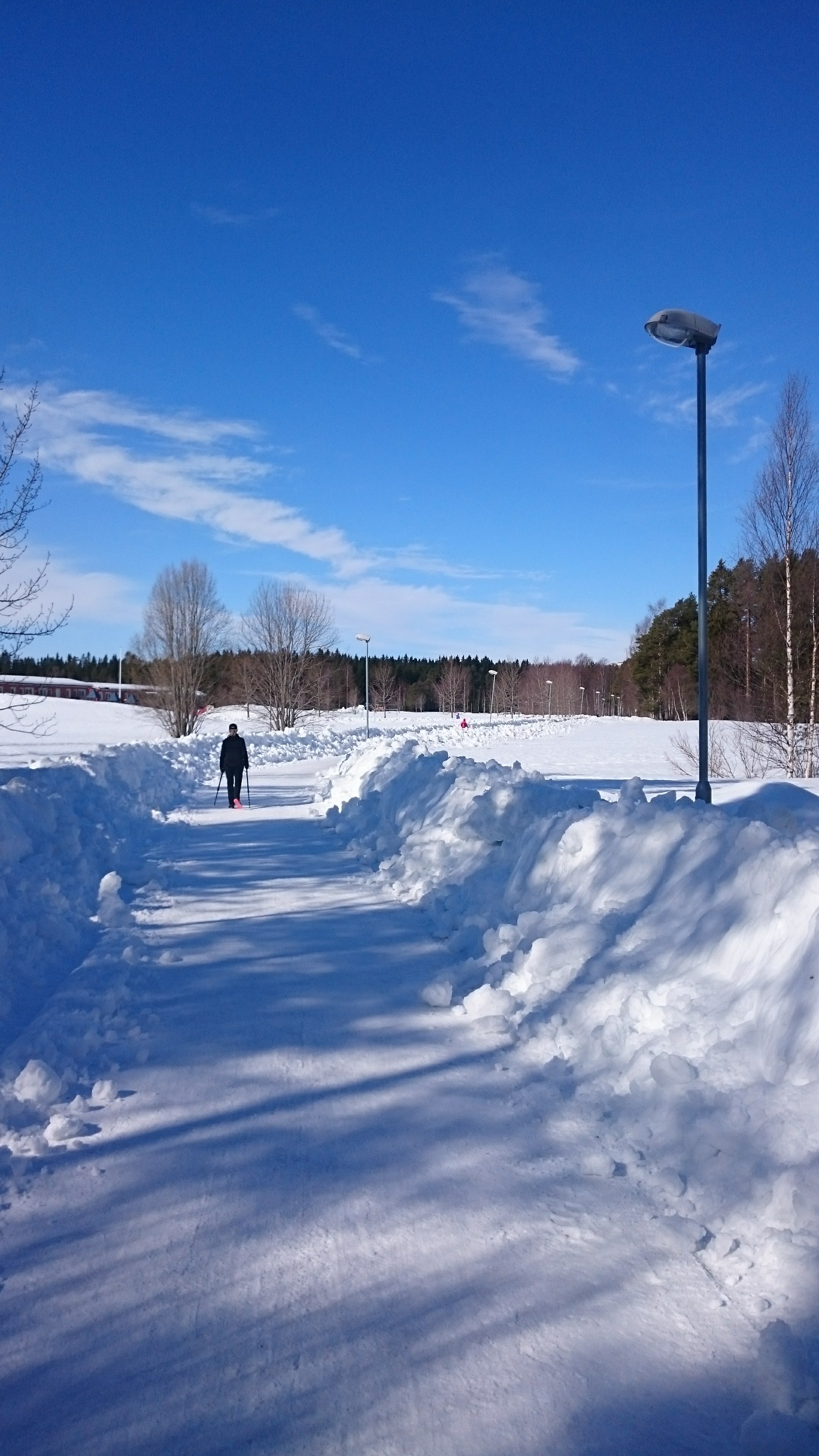 Vinterbild från Östersund